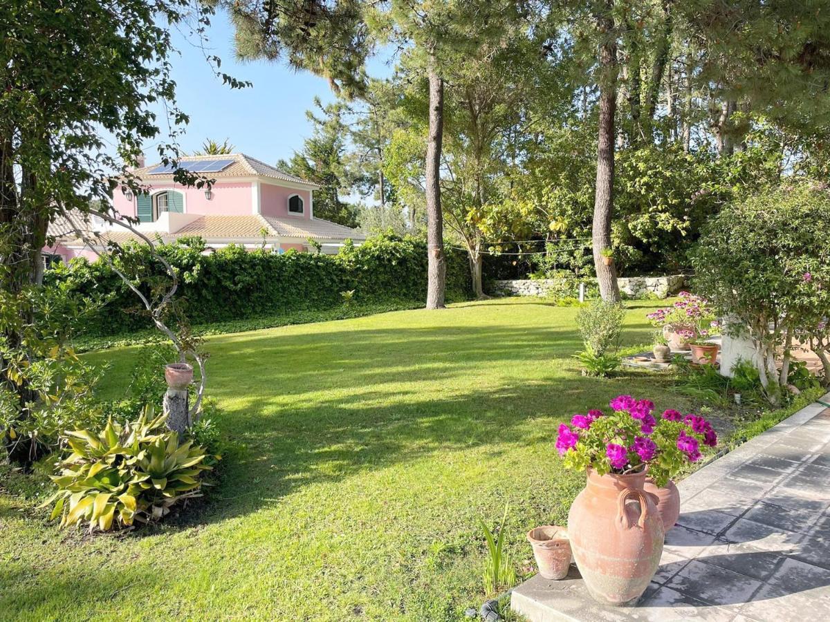 363 Beach Villa Troia Exteriér fotografie